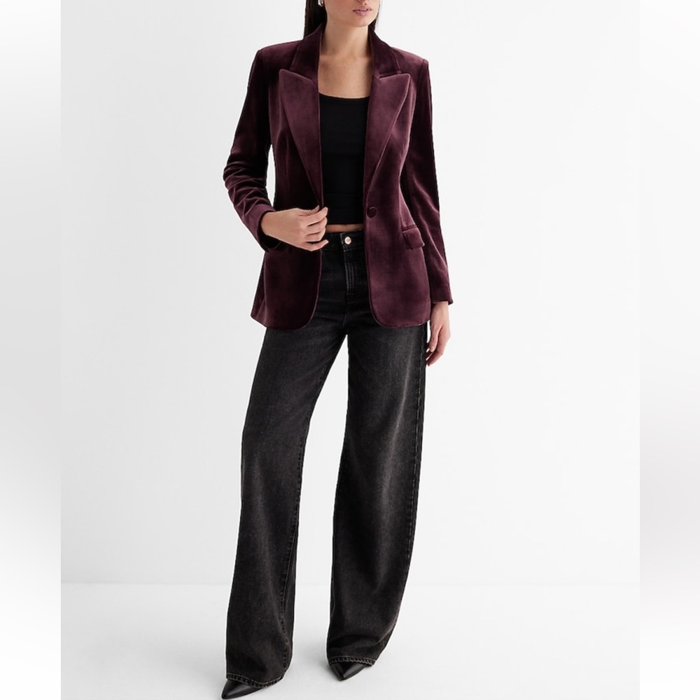 Velvet Blazer - Picture 6 of 10